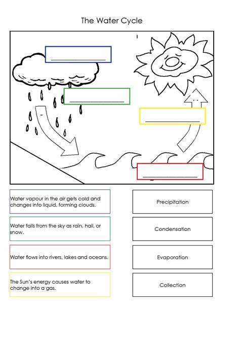 water cycle worksheet